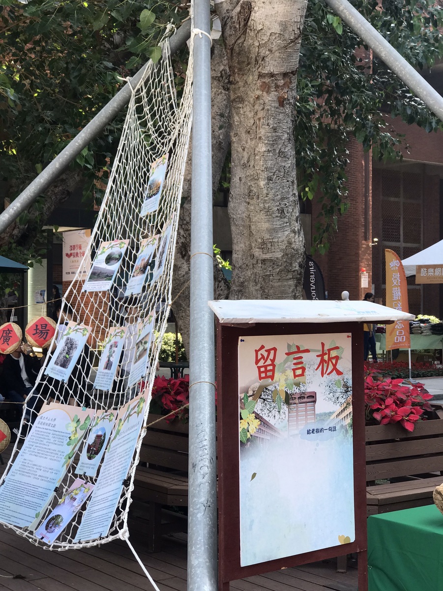 菩提樹的故事圖片